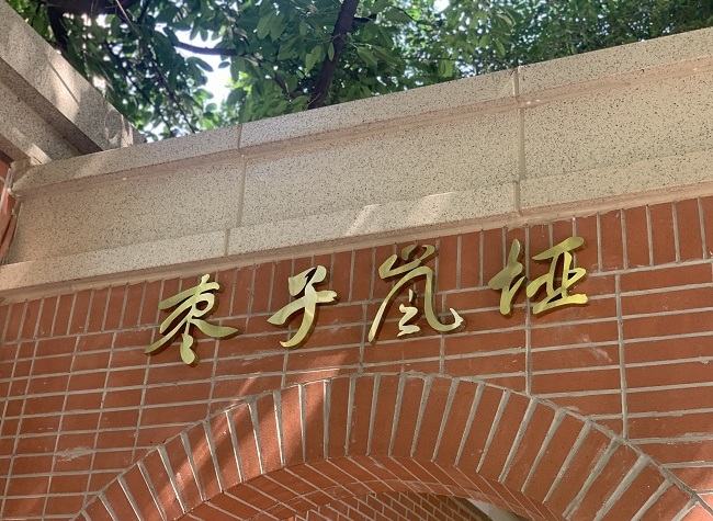 Zaozilanya Area, An Effective Implementation of Urban Renewal in Chongqing