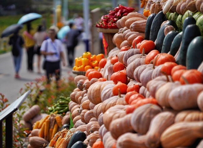 Celebrating the Fourth Three Gorges Autumn Festival in Chongqing