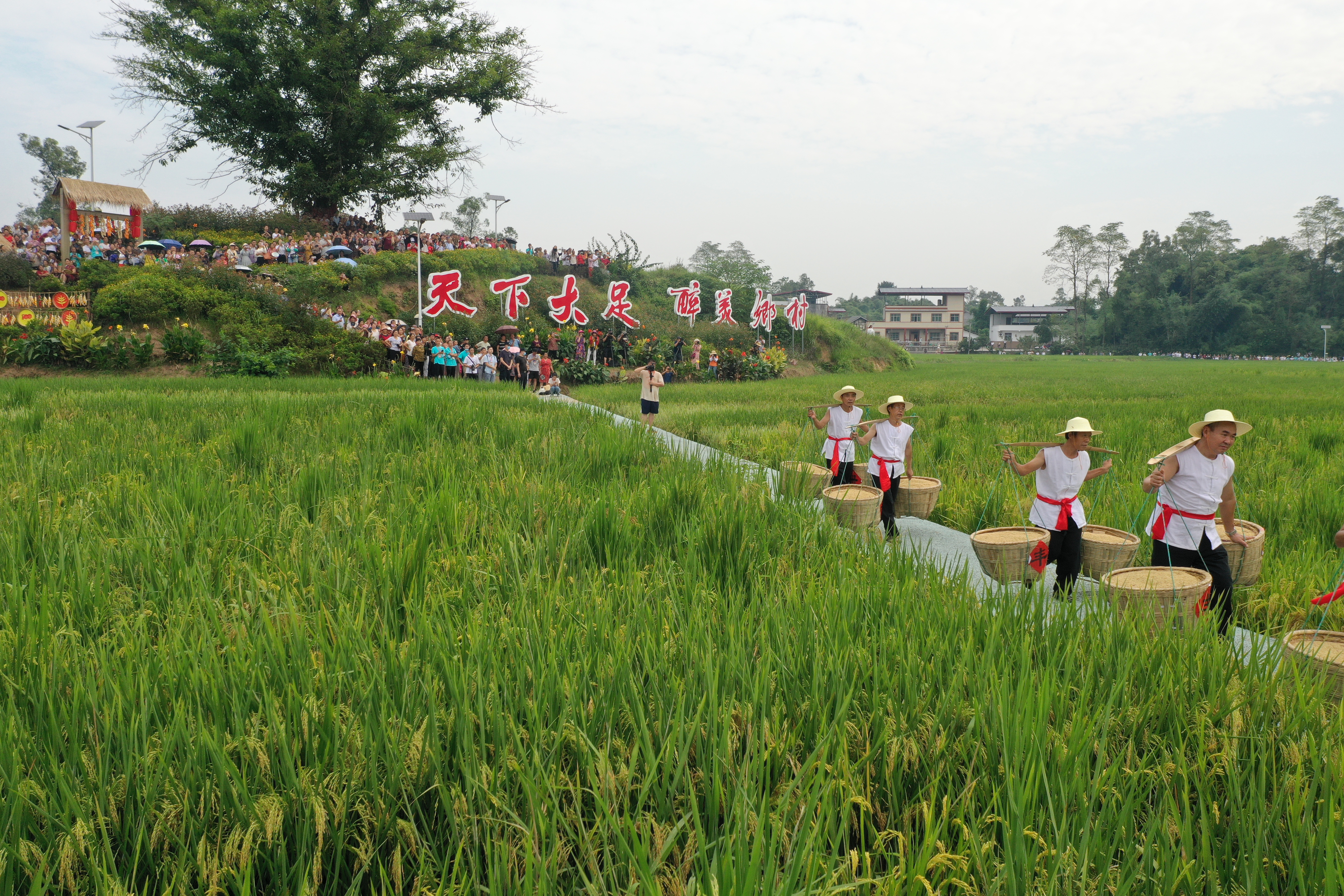 2021 Chinese Farmers' Harvest Festival in Dazu(Photo/Dazu Media)