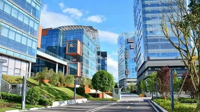 White Paper on China's Automotive Software Industry Released