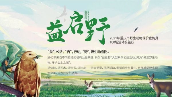 Experience the Beauty of Wild Animals in Chongqing | ichongqing Experience the Beauty of Wild Animals in Chongqing | ichongqing