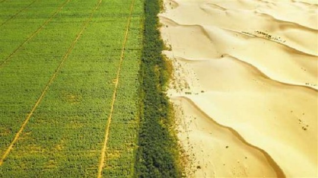 Decipher 'Ecological Miracle' of Turning Deserts into Oases