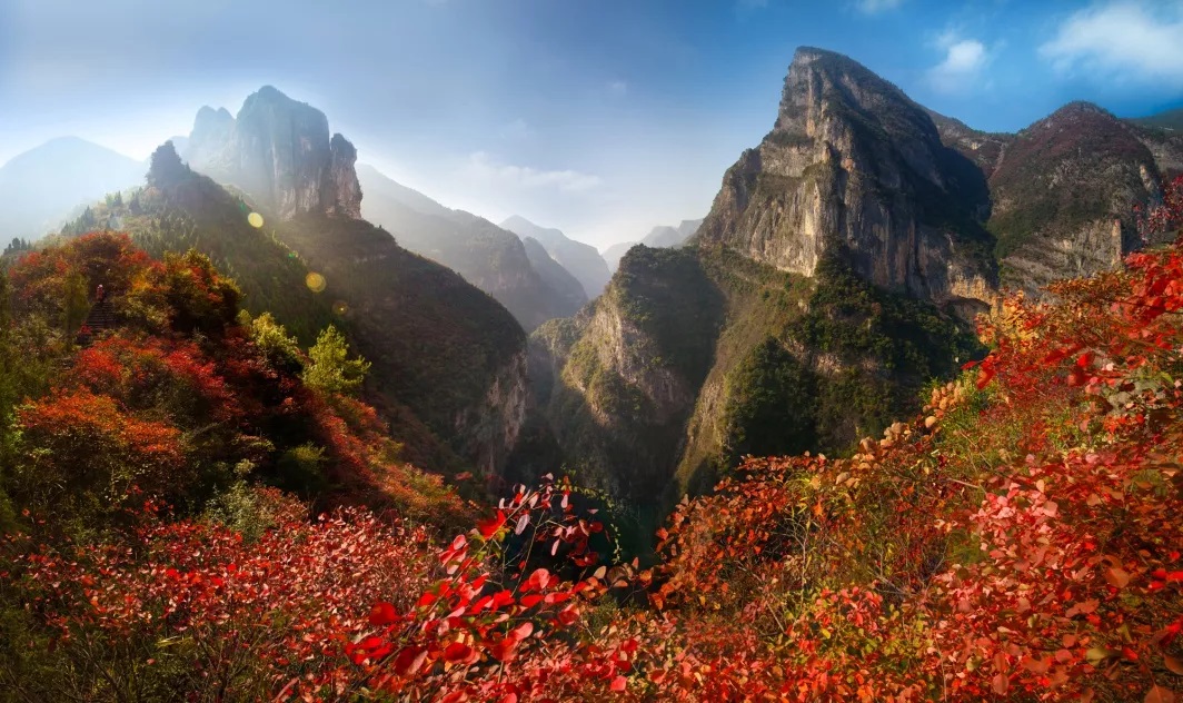 Come to View the Red Leaf in Wushan County, the Three Gorges Hinterland ...