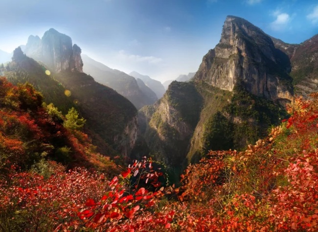 Come to View the Red Leaf in Wushan County, the Three Gorges Hinterland