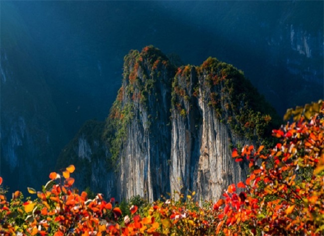 Culture and Tourism Online Promotion Month Kicks Off with 5 Themed Activities