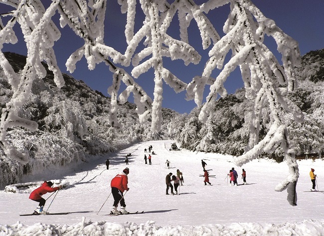 Snow, Skiing and Hot Spring, Winter Tourism Season Starts in Chongqing