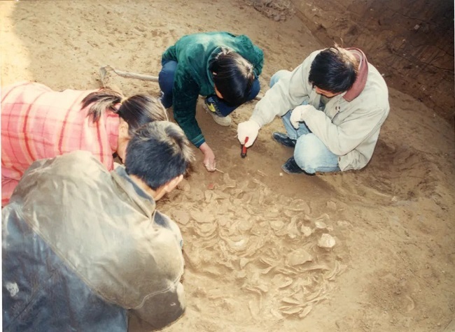 Explore Daxi Culture Heritage Site and Discover the China's Ancient History