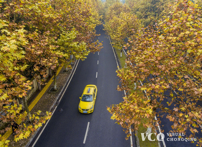 Visual Chongqing | Weekly City Views on Nov. 16-22th, 2021