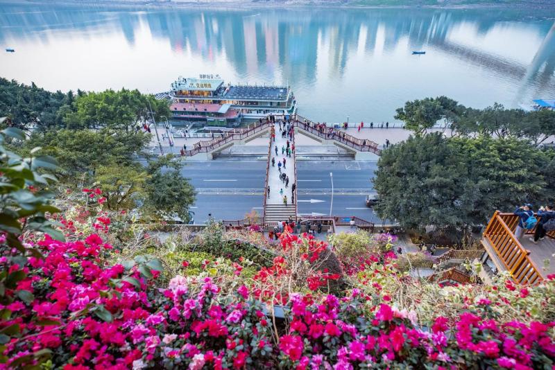 Greening of slopes and cliffs in Daijiaxiang, Chongqing