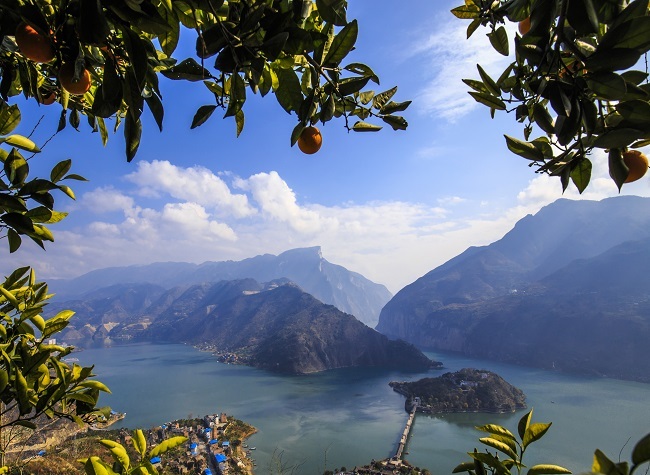 Chongqing Fengjie Highlights the Integration of Agriculture, Culture and Tourism