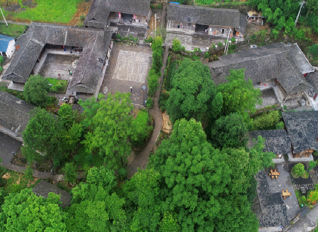 Chongqing Township Included in WTA Best Practices of Rural Revitalization Through Tourism