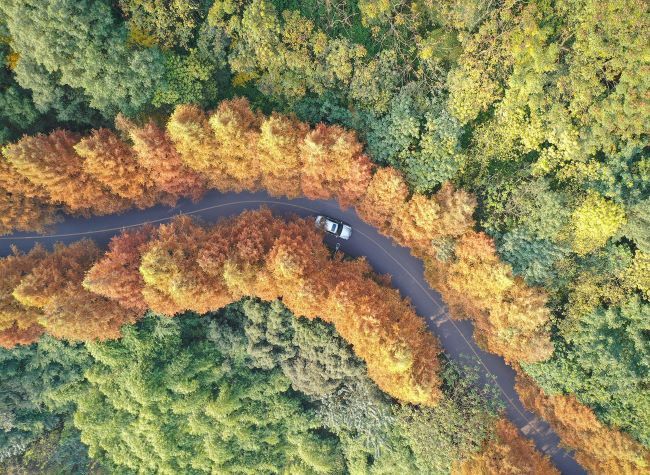 Liangjiang New Area Invites Citizens for Ideas on Building 'A City with Hundreds of Parks'