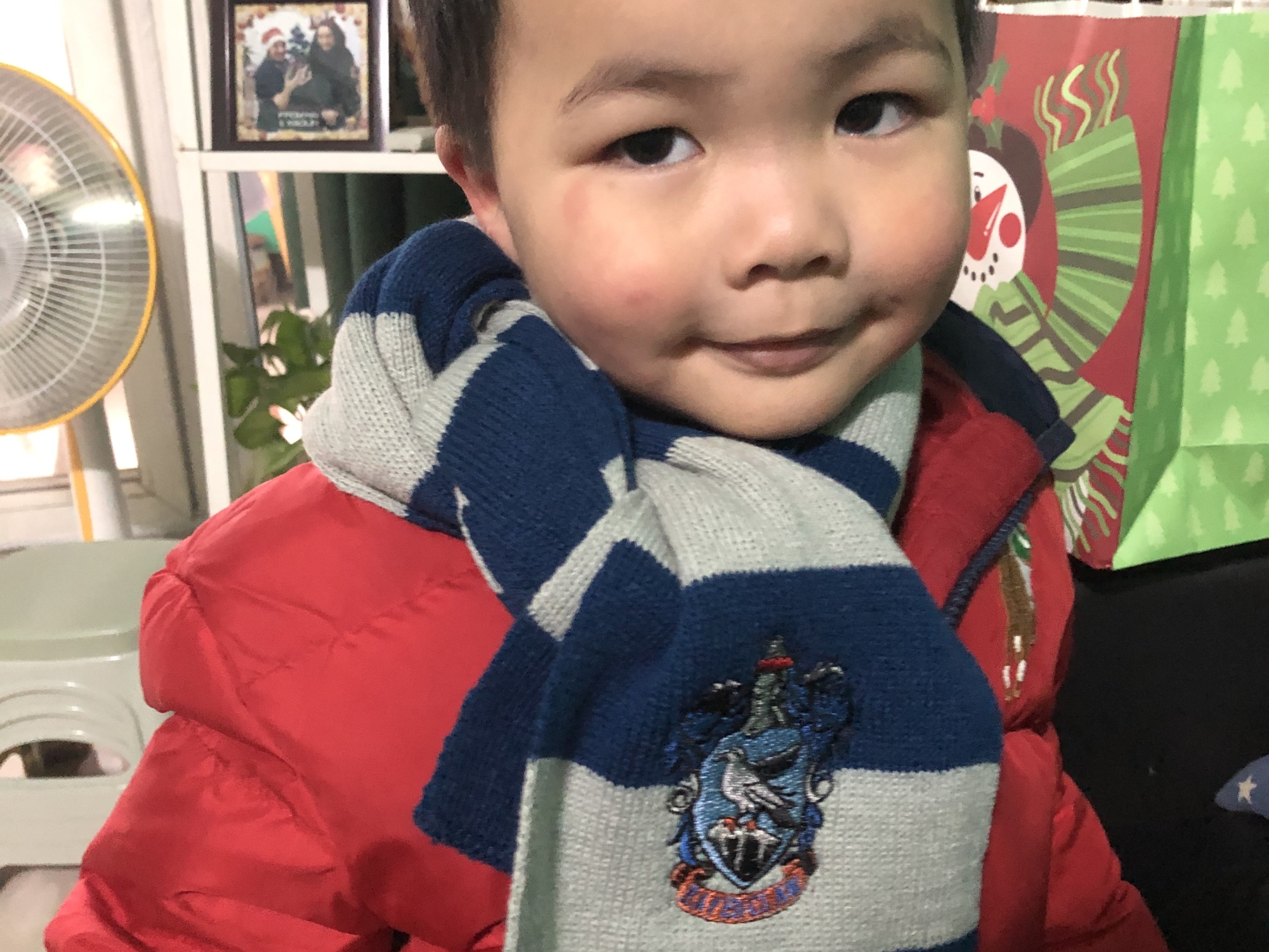 I decided Ethan was Ravenclaw: creative, intelligent, and thoughtful. Plus we like the colors.