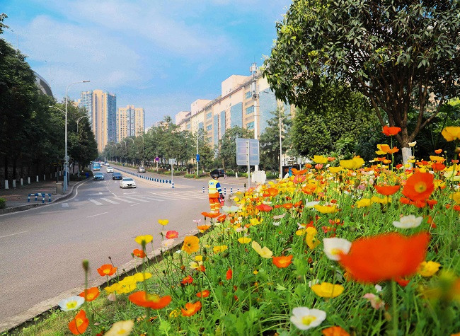 40% of Chongqing Urban Household Waste Could be Recycled in 2022