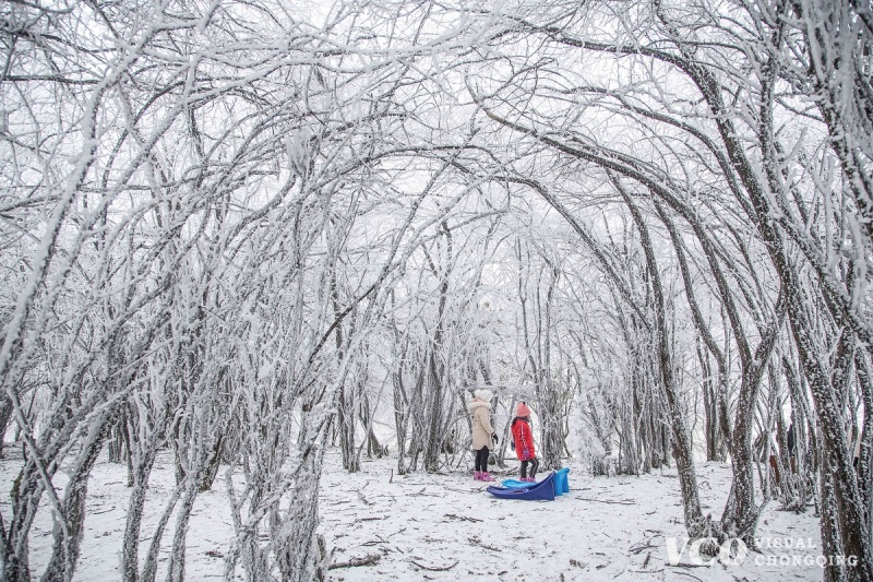 Snow forests in Fairy Mountain, Wulong District, Chongqing.