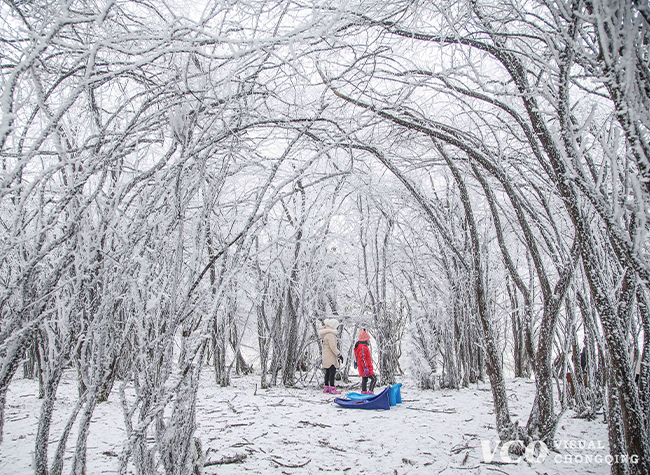 Visual Chongqing | Rime scenery