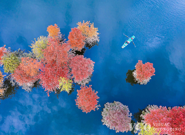 Visual Chongqing | Weekly City Views on Jan. 15th-21st, 2022