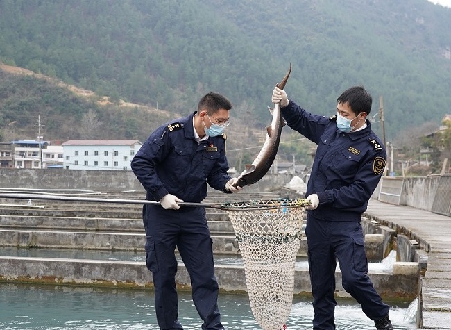 Under RCEP, Chongqing Exports Live Fish to Vietnam