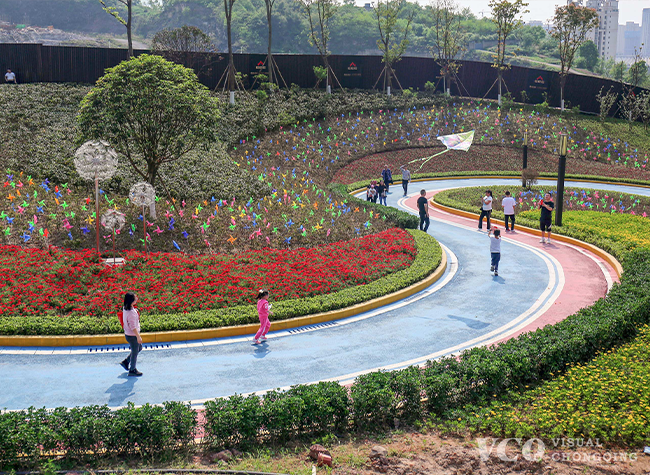 Visual Chongqing | Roaming spring