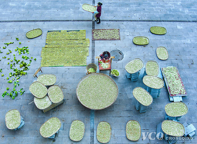 Visual Chongqing | Pickle season