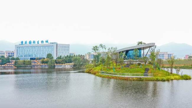 Babashi Enterprise Service Cloud Platform For SMEs Launched in Ba'nan