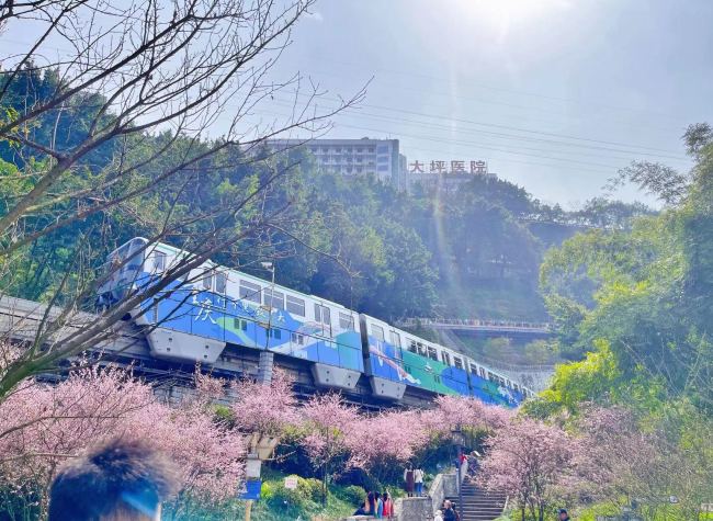 Kai's Diary: March 20, A Steady Stream of Thuds (Omicron Assaults Chongqing)