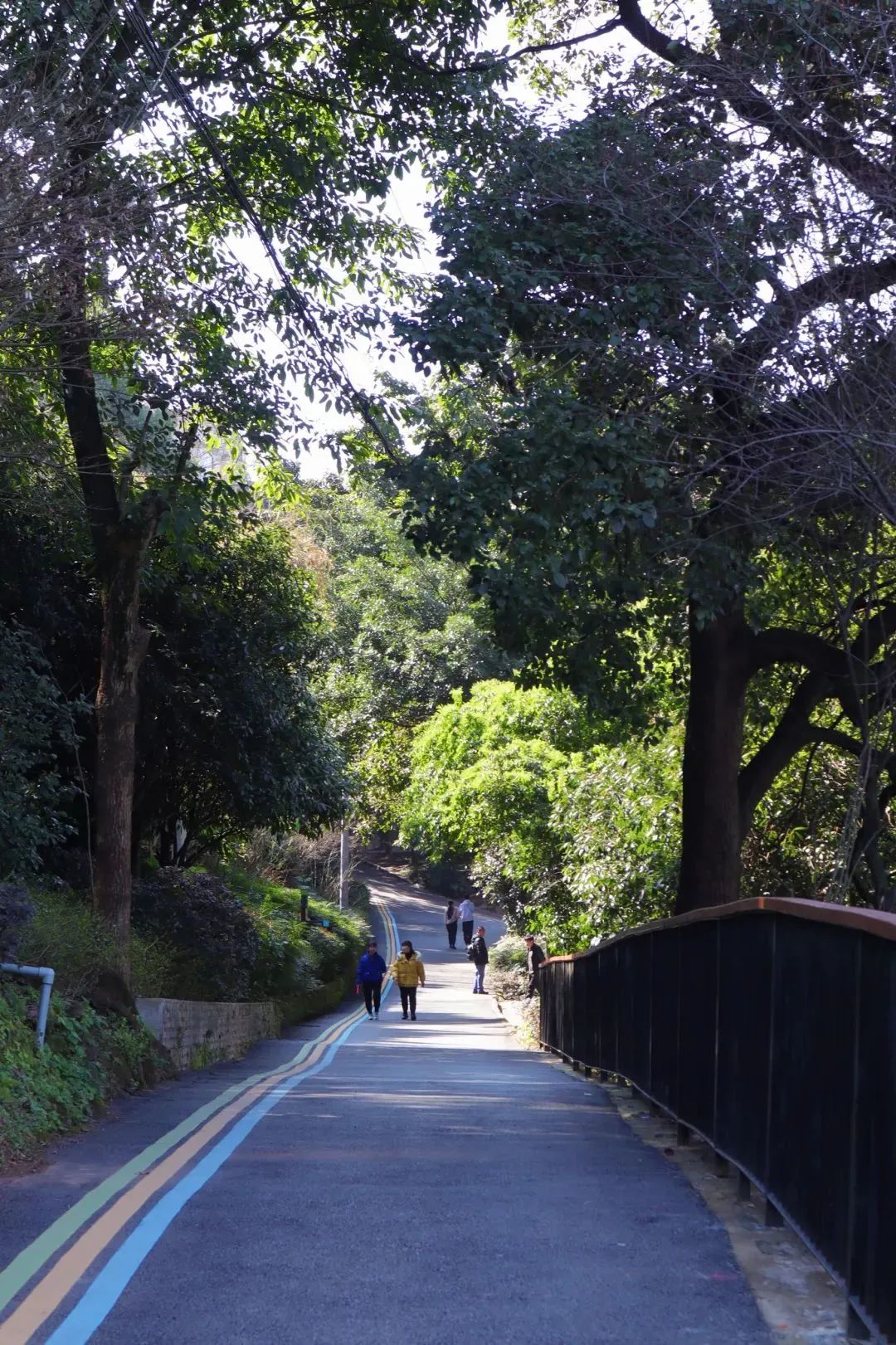 Hiking in Springtime along Chongqing's Just-opened Cliff Trail ...