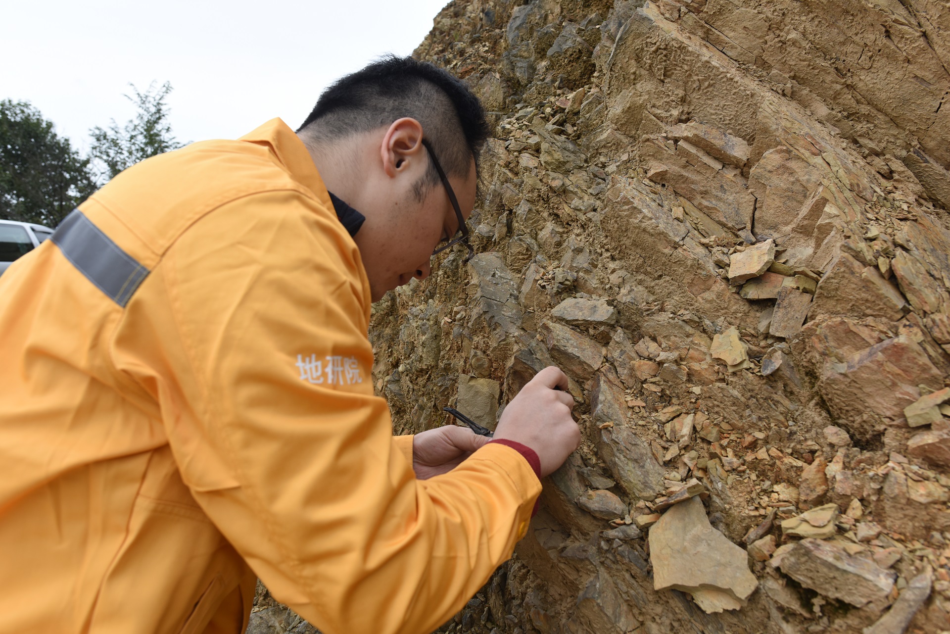436 Million Years Old Fish Fossil Found in Chongqing | ichongqing