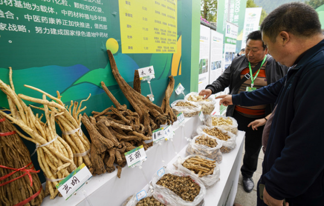 Chongqing To Build Its First National TCM Service Export Base