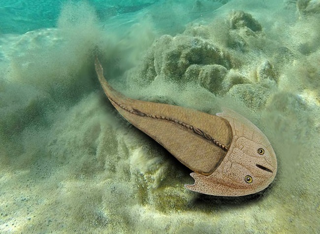 436 Million Years Old Fish Fossil Found in Chongqing