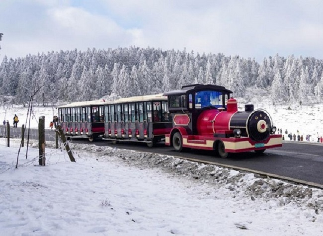 CCI boosts Wulong to a World-renowned Tourist Destination