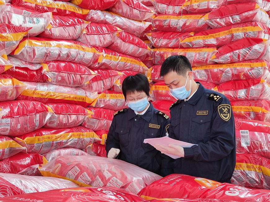 Two staff members of Chongqing Customs District conduct inspections of hybrid rice seeds.