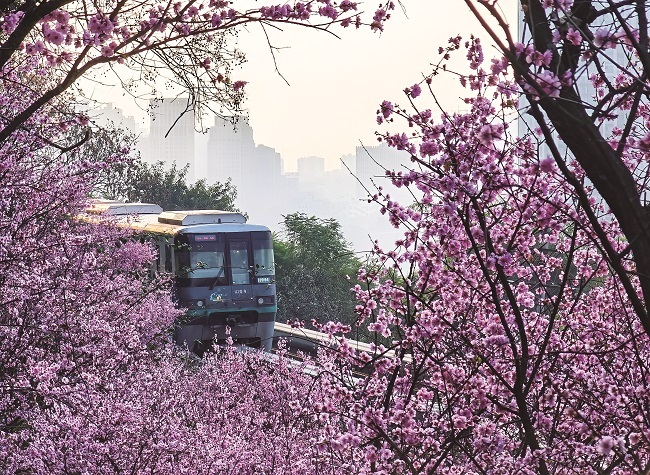 Boarding On a Train Bound for Spring