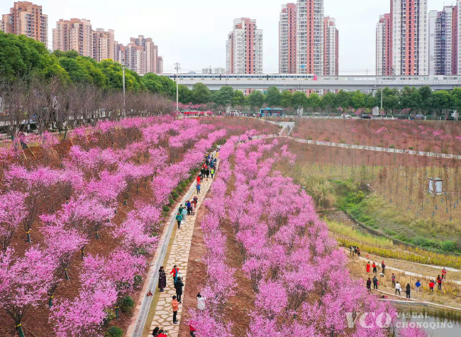 Visual Chongqing | Weekly City Views on Feb. 21-27th, 2022