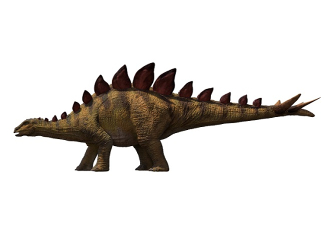 Asia's Oldest Stegosaurus Dinosaur Fossil Discovered in Chongqing