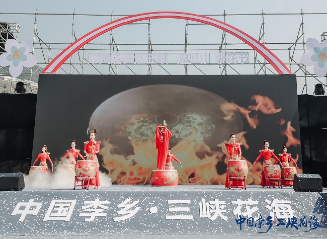 Tourists Spoiled for Choice at Plum Flower Festival