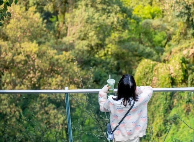 Spring Records of Chongqing Old Street in a Mountain