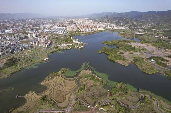 Chongqing Provides a Good Habitat for Wild Animals