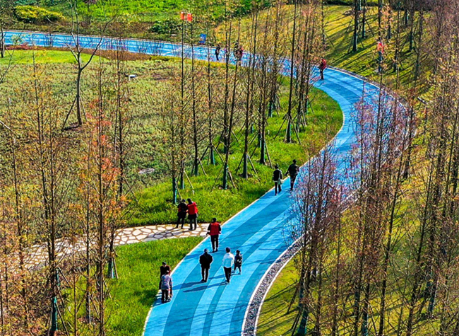 Visual Chongqing | Walking the Spring Road