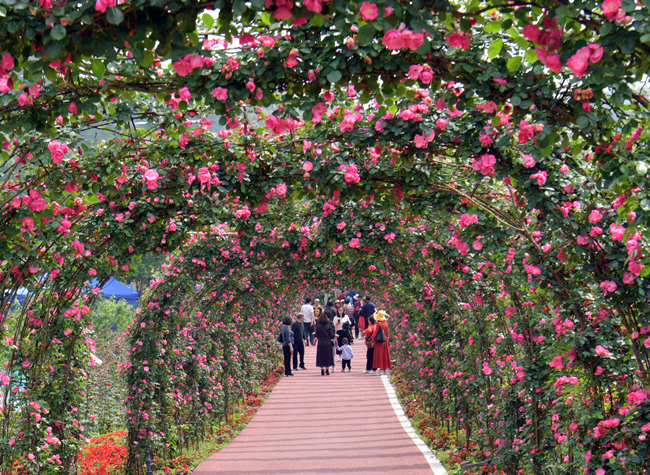 Visual Chongqing | Flower Corridor