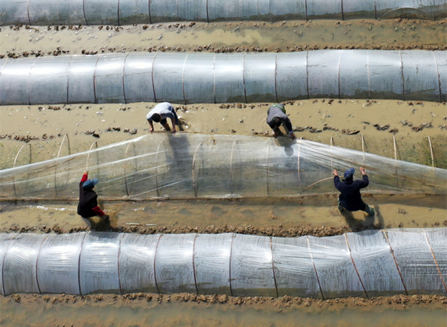 Visual Chongqing | Busy farming