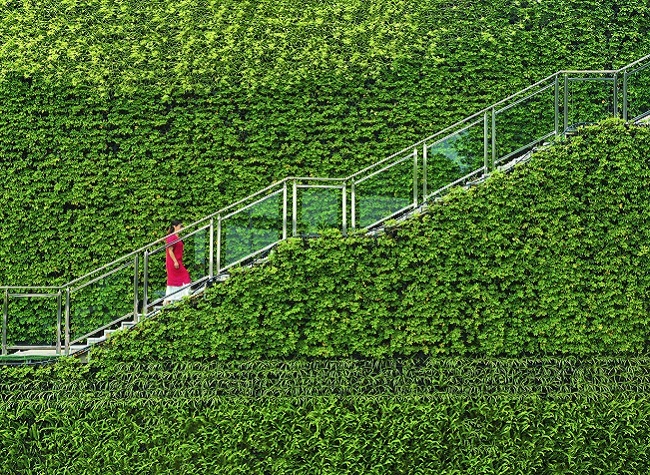 Visual Chongqing | Green Corridor