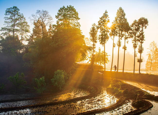 Visual Chongqing | Morning in the Countryside