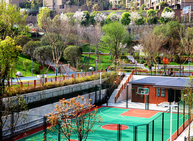 Steep Hillside Park Captures Local Hearts | Beautiful Chongqing on Your Doorstep