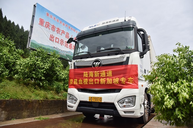 ILSTC Helps Rongchang Blood Oranges Export to Singapore