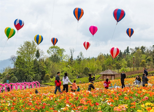 Visual Chongqing | Pure Brightness