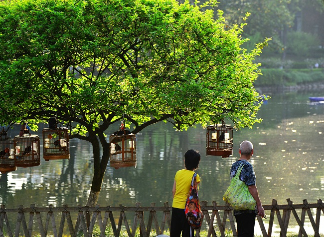 Visual Chongqing | Spring in the Park