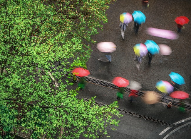 Visual Chongqing | Colors in the Rain