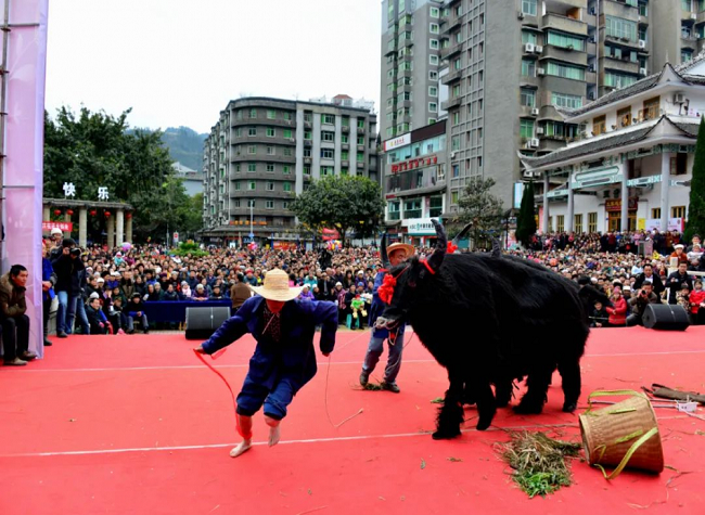 Tujia 'Wanniu', or Ox Dance