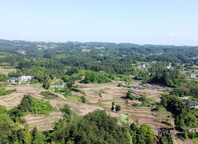 Chili Cultivation Makes Higher Incomes Prospects a Reality For Farmers